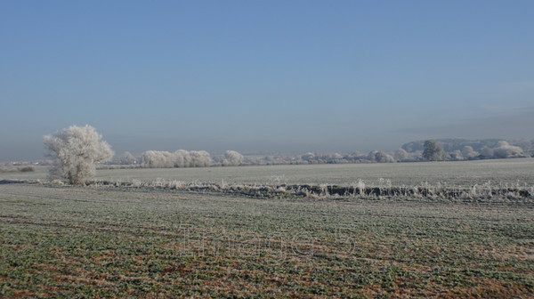 frostscene 
 Frostscene 
 Keywords: frost fields h crawley beds uk