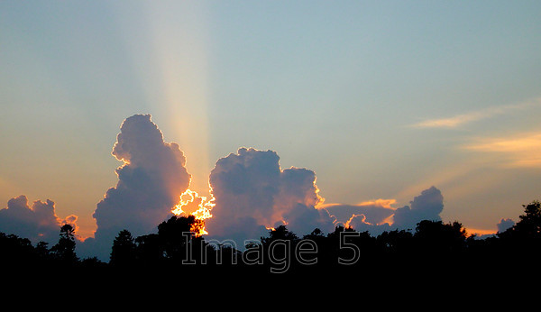 skyprofile 
 SkyProfile 
 Keywords: cloudscape backlit sunset light rays treeline bedfordshire uk