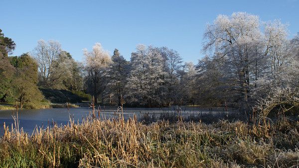 rimescenelake 
 Rimescenelake 
 Keywords: rime ice on trees lake woburn lake beds uk